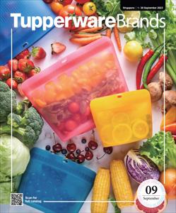 Offer on page 13 of the Tupperware promotion catalog of Tupperware
