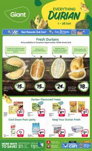 Giant catalogue | Everything Durian | 01/06/2023 - 28/06/2023
