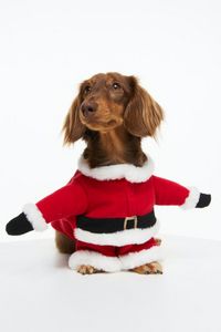 Fancy dress costume for a dog offers at S$ 39.95 in H&M