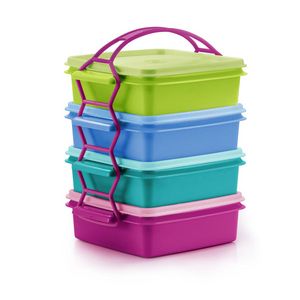 Small Goody Box (4) 790ml with Cariolier offers at S$ 33.3 in Tupperware
