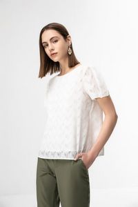 Chevron Clip Chiffon Jacquard Blouse with Box Pleated Sleeves offers at S$ 49 in G2000