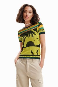 Knit landscape T-shirt offers at S$ 35.99 in Desigual